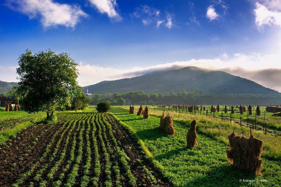 Qu&rsquo;est-ce que la politique agricole commune (PAC) de l&rsquo;Union européenne ?