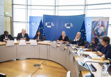 Les francophones au sein de l&rsquo;Union européenne