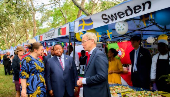 Journée de l’Europe en célébrant la paix et la solidarité au Zimbabwe, cette unité a pris vie grâce à la culture. (photos)