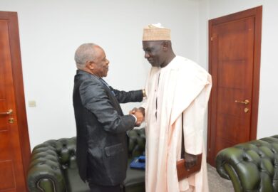 Alamine Ousmane Mey, a accordé à Yaoundé, une audience solennelle à Baltasar Engonga Edjo&rsquo;o. (photos)