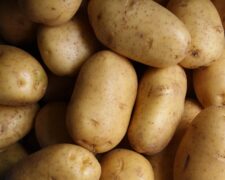 Les 6 principaux producteurs de pommes de terre en Afrique