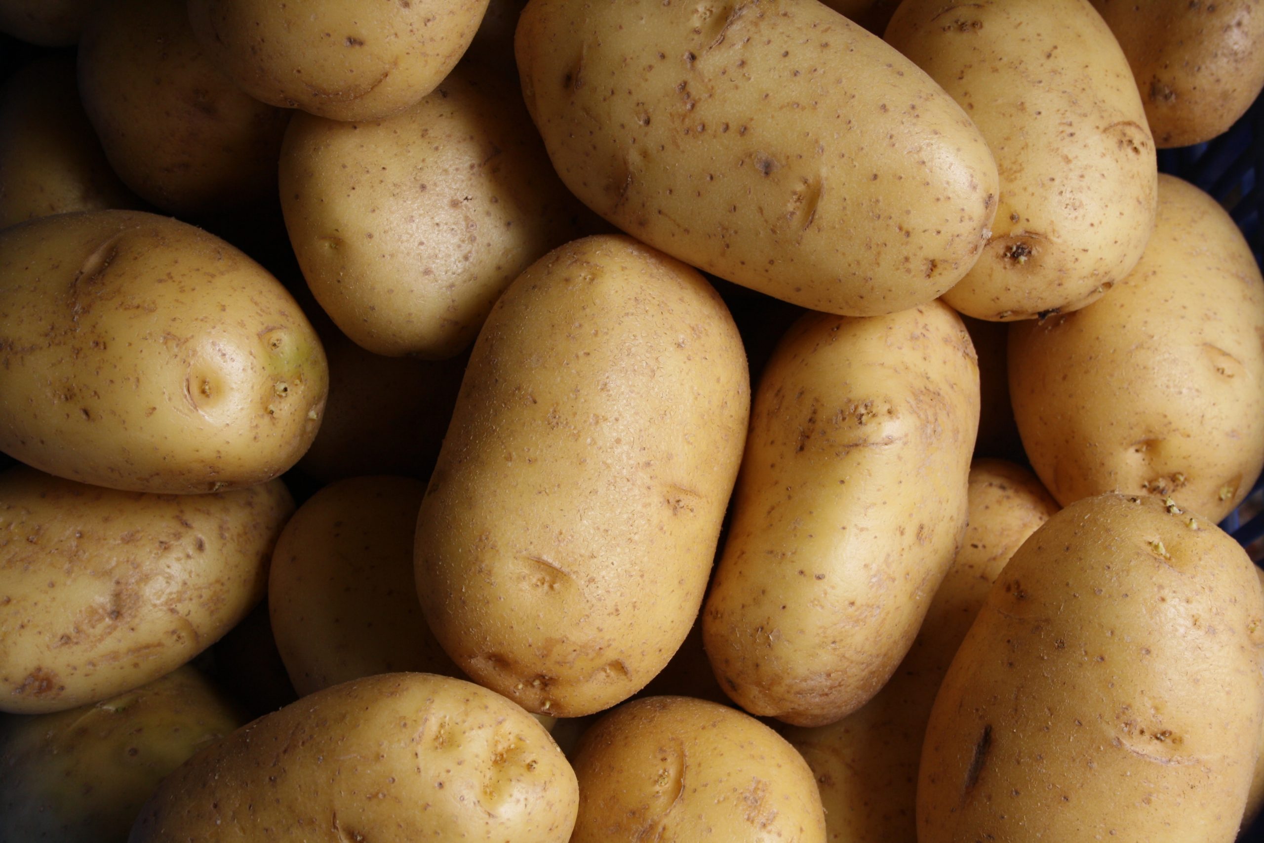 Les 6 principaux producteurs de pommes de terre en Afrique