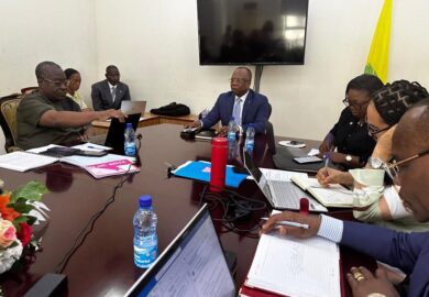 Elaboration du Plan stratégique 2027-2030 de la Commission de la CEMAC. (photos)