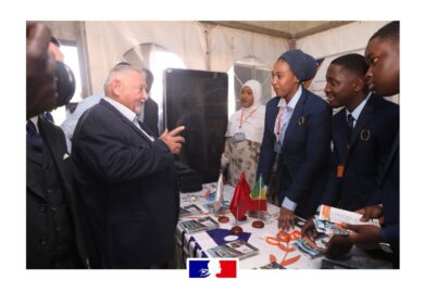 la Chambre de Commerce Européenne au Mali (EUROCHAM), en partenariat avec l&rsquo;Ambassade de France. (photos)
