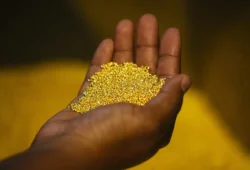 L&rsquo;Afrique compte sur des milliards de dollars de richesse minérale, de l&rsquo;or et des diamants au cobalt et au platine…