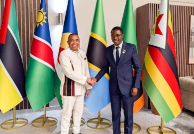 SOMMET SDAC en Afrique du Sud, des réunions et des discussions ont eu lieu entre les délégations participantes. (photos)