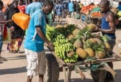 L’Afrique capte moins de 10 % de la valeur de ses ressources arboricoles (Landscape Alliance)