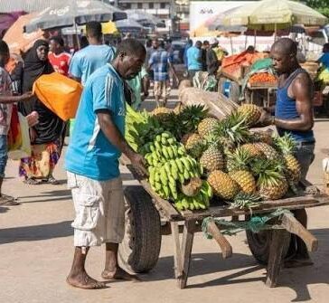 L’Afrique capte moins de 10 % de la valeur de ses ressources arboricoles (Landscape Alliance)