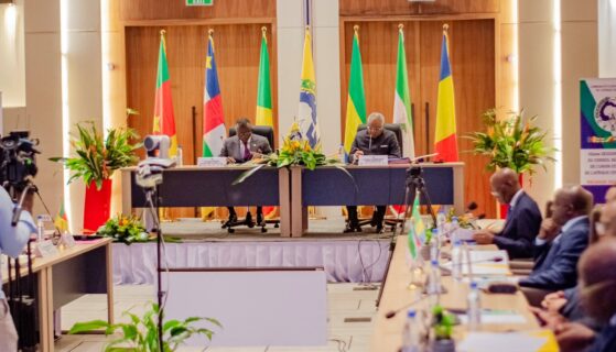 Climat des affaires en Afrique centrale : entre réformes structurelles et défis persistants, autopsie d&rsquo;une zone en quête d&rsquo;attractivité