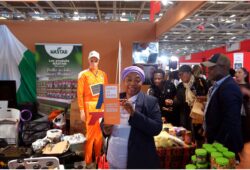 Le marché africain à l&rsquo;heure de la vérité : entre vitalité démographique et impératifs de souveraineté