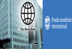 FMI et Banque mondiale en Afrique : Entre bouée de sauvetage financière et piège de l’austérité
