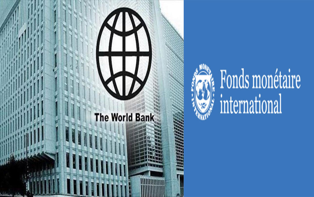 FMI et Banque mondiale en Afrique : Entre bouée de sauvetage financière et piège de l’austérité