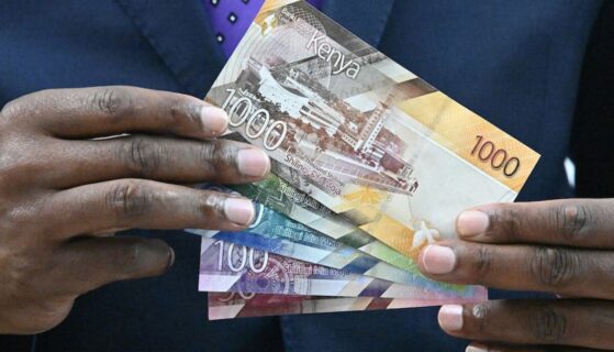L&rsquo;Afrique face au labyrinthe de la dette : État des lieux, défis et voies de sortie